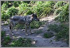 044_ZOO_14092021.JPG