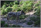 046_ZOO_14092021.JPG