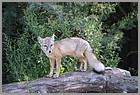 060_ZOO_14092021.JPG