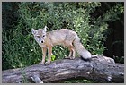 062_ZOO_14092021.JPG