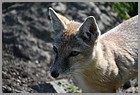 065_ZOO_14092021.JPG