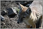 067_ZOO_14092021.JPG