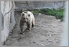 071_ZOO_14092021.JPG