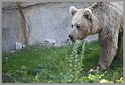 076_ZOO_14092021.JPG