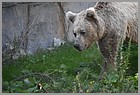 078_ZOO_14092021.JPG