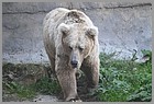 081_ZOO_14092021.JPG