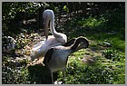 091_ZOO_14092021.JPG