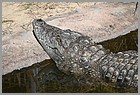 096_ZOO_14092021.JPG