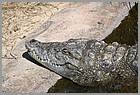 099_ZOO_14092021.JPG