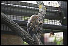 007_zoo_hl_20082021.JPG