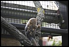 008_zoo_hl_20082021.JPG