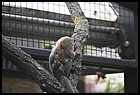 009_zoo_hl_20082021.JPG