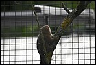 015_zoo_hl_20082021.JPG