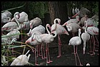 022_zoo_hl_20082021.JPG