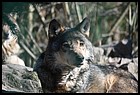 09_zoo_01012022.JPG