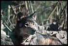 10_zoo_01012022.JPG