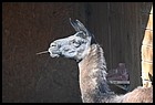 12_zoo_01012022.JPG