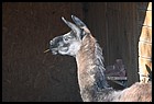 13_zoo_01012022.JPG