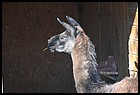 14_zoo_01012022.JPG