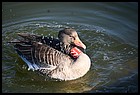 18_zoo_01012022.JPG