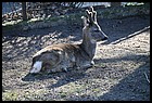 19_zoo_01012022.JPG