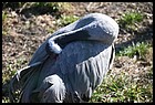 23_zoo_01012022.JPG