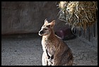 26_zoo_01012022.JPG