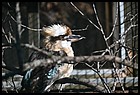 30_zoo_01012022.JPG