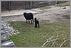 02_zoo_170322_17032022.JPG