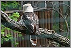 05_ZOO_13052022.JPG