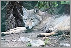 18_ZOO_13052022.JPG