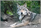 19_ZOO_13052022.JPG