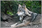 20_ZOO_13052022.JPG