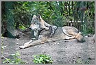 21_ZOO_13052022.JPG