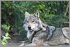 22_ZOO_13052022.JPG