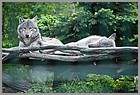 23_ZOO_13052022.JPG