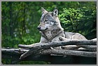 25_ZOO_13052022.JPG