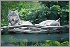 27_ZOO_13052022.JPG