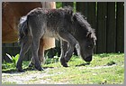 32_ZOO_13052022.JPG