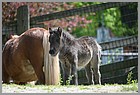 35_ZOO_13052022.JPG