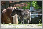 36_ZOO_13052022.JPG