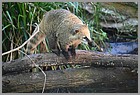 04_ZOO_02062022.JPG