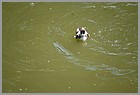 08_ZOO_02062022.JPG