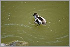 14_ZOO_02062022.JPG