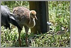 17_ZOO_02062022.JPG