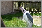 20_ZOO_02062022.JPG