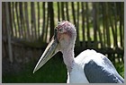 24_ZOO_02062022.JPG