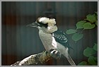 32_ZOO_02062022.JPG