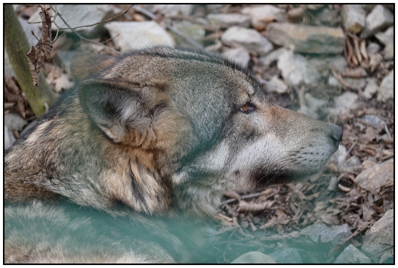 DSC_0455.JPG